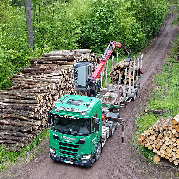 Transporte